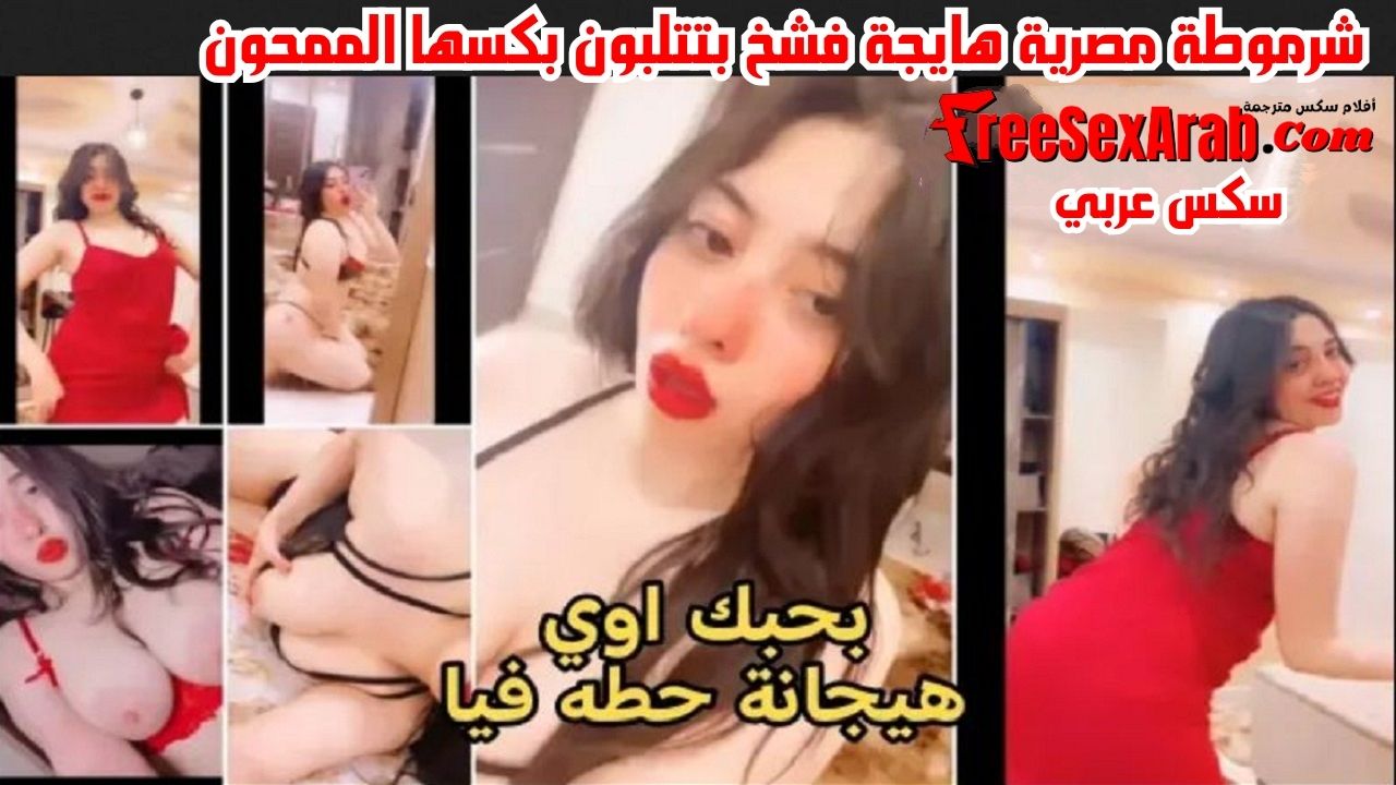 سكس مصري – شرموطة مصرية هايجة فشخ بتتلبون على المخدة بكسها رجليها بترتعش تقوله بحبك اوي هيجانة – xnxx – xnxx egyptian – سكس عربى – سكس مصرى طويل – سكس مصرى بلدى – arab sex – سكس العرب – نيك مصرى – كس العرب – عرب اكس